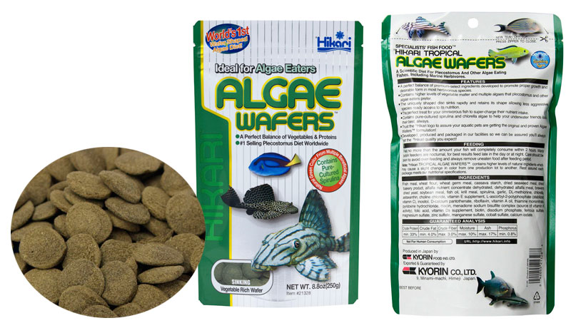 Algae Wafers