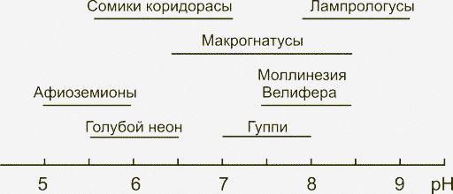 оптимальная кислотность воды для аквариумных рыб
